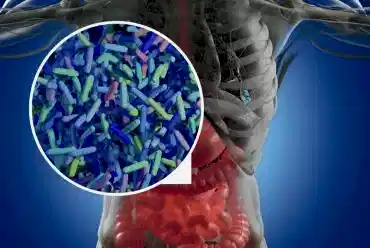 Mikrobiyota / Mikrobiyom Nedir?