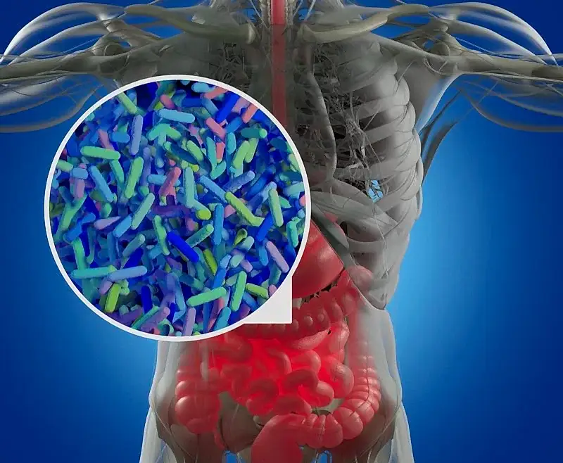 Mikrobiyota / Mikrobiyom Nedir?