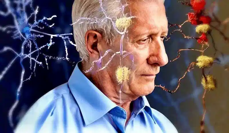 Ozon ile Alzheimer Tedavisi