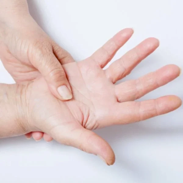 El Terlemesi Nedir ?